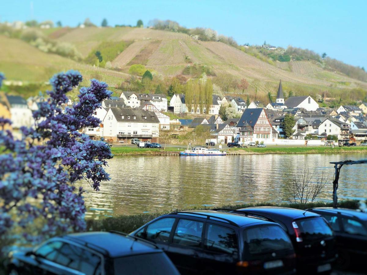 Апартаменти Mosel Ausblick Целль-ан-дер-Мозель Екстер'єр фото
