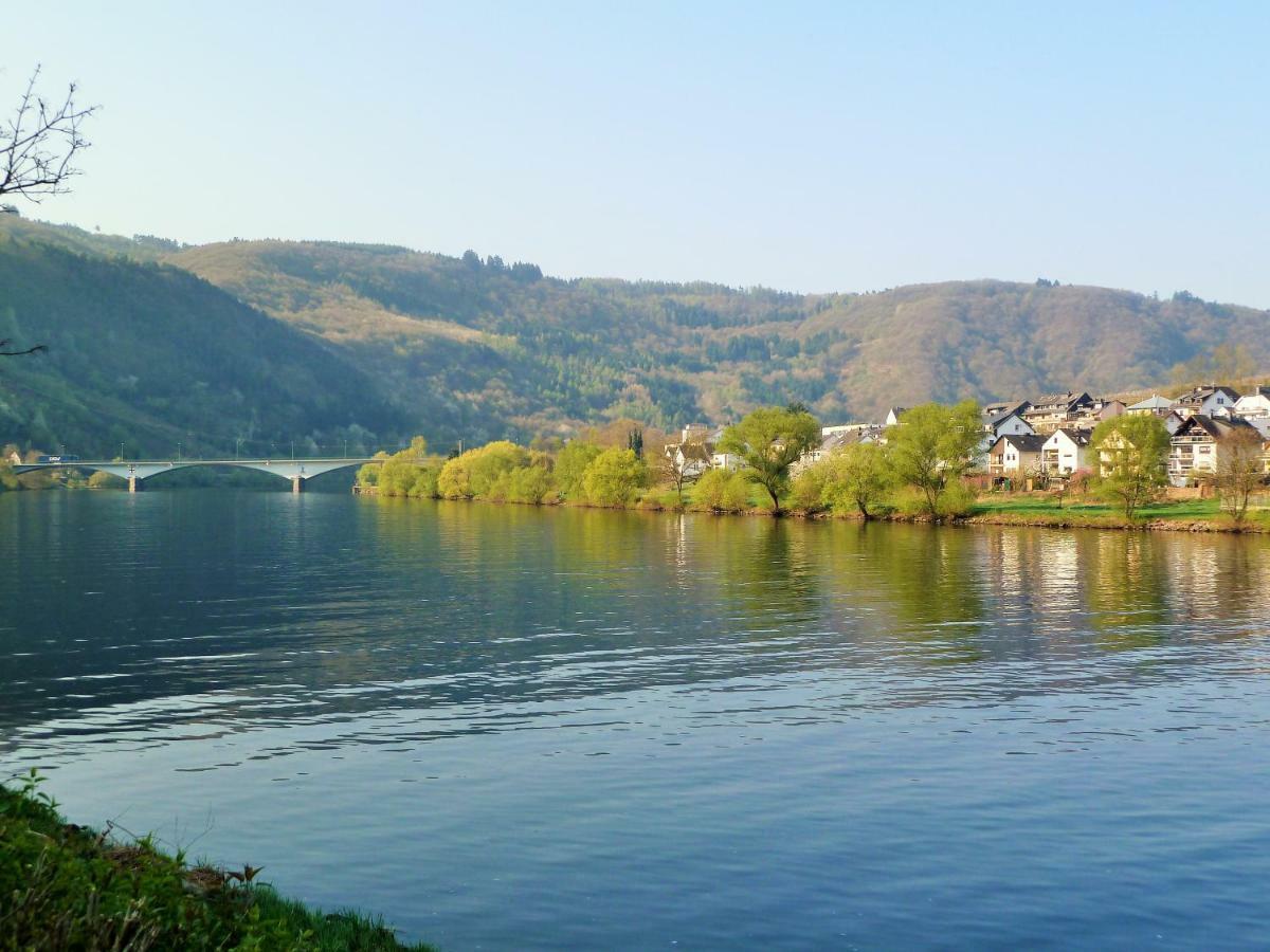 Апартаменти Mosel Ausblick Целль-ан-дер-Мозель Екстер'єр фото