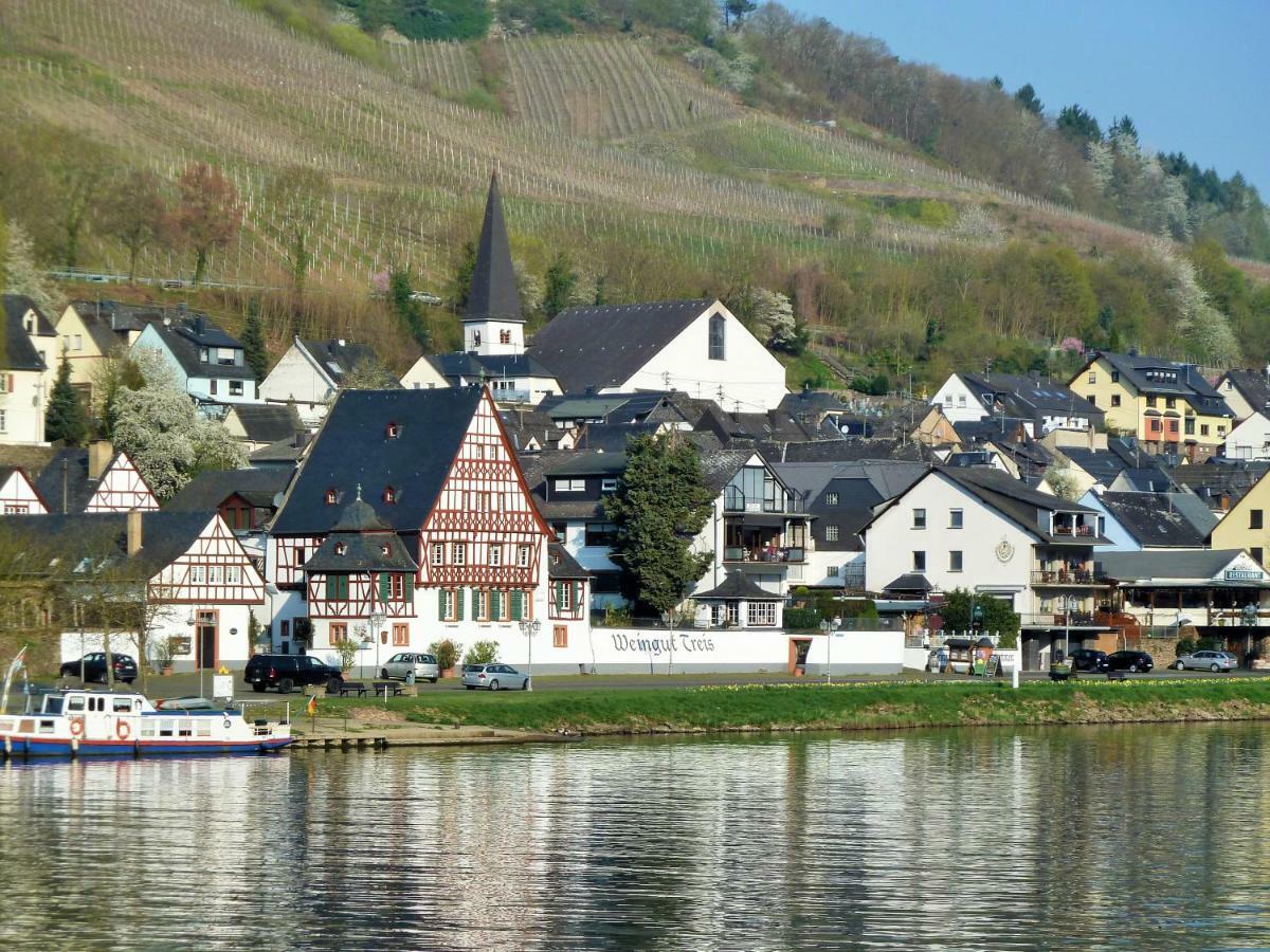 Апартаменти Mosel Ausblick Целль-ан-дер-Мозель Екстер'єр фото